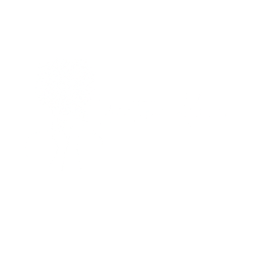 Creative Kaos 